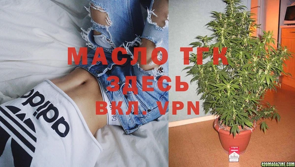 сатива Алексеевка