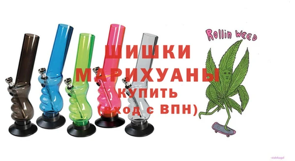 прущие грибы Ветлуга