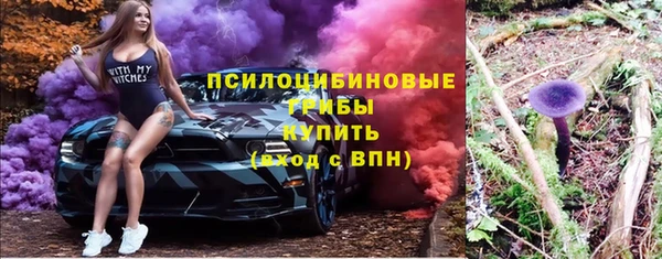 тгк Алексин