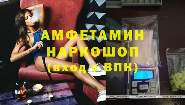 сатива Алексеевка