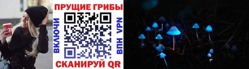 Галлюциногенные грибы Cubensis  KRAKEN сайт  Ярцево 