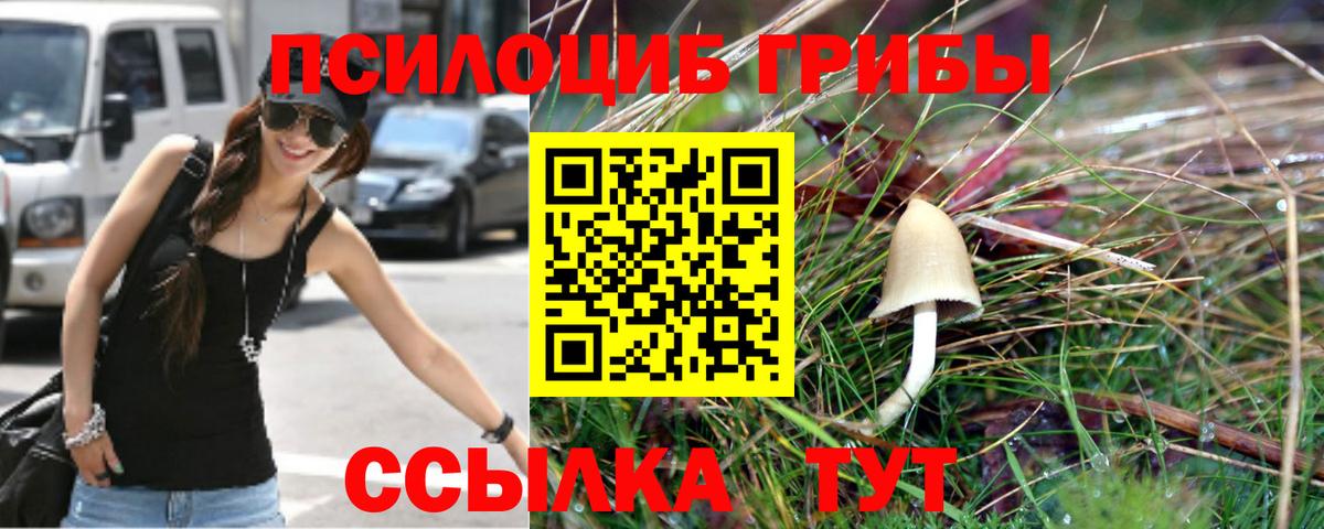Галлюциногенные грибы Psilocybine cubensis  Псилоцибиновые грибы ЛСД  Ярцево  Вход с VPN 